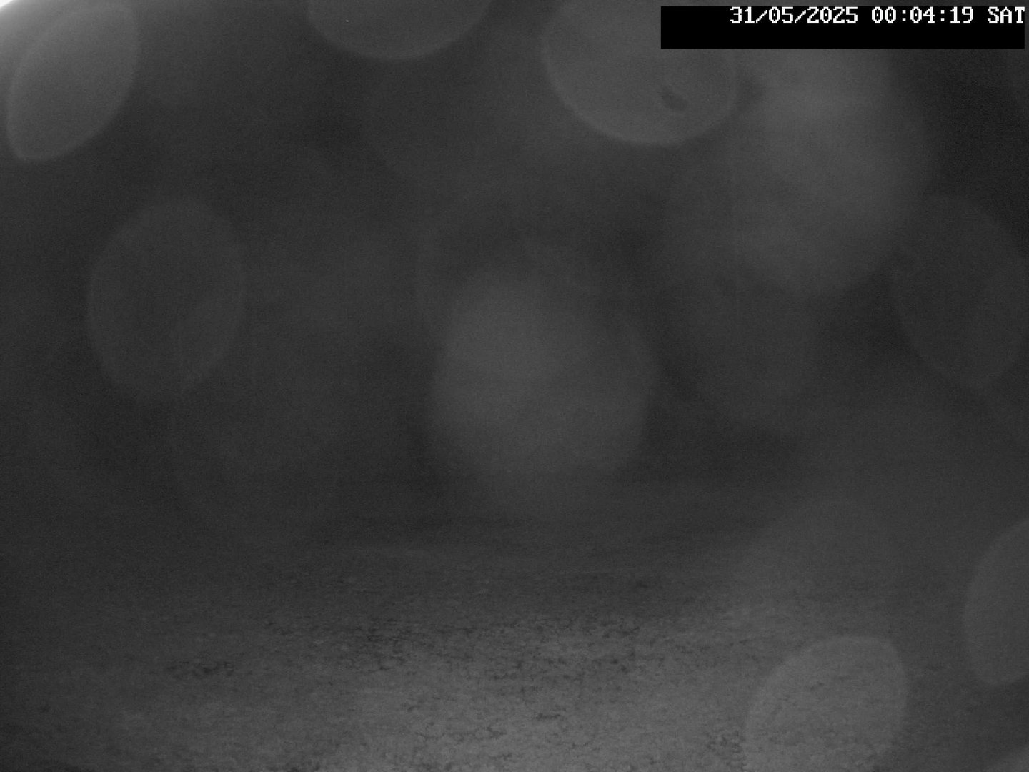time-lapse frame, Stadium.Cam webcam