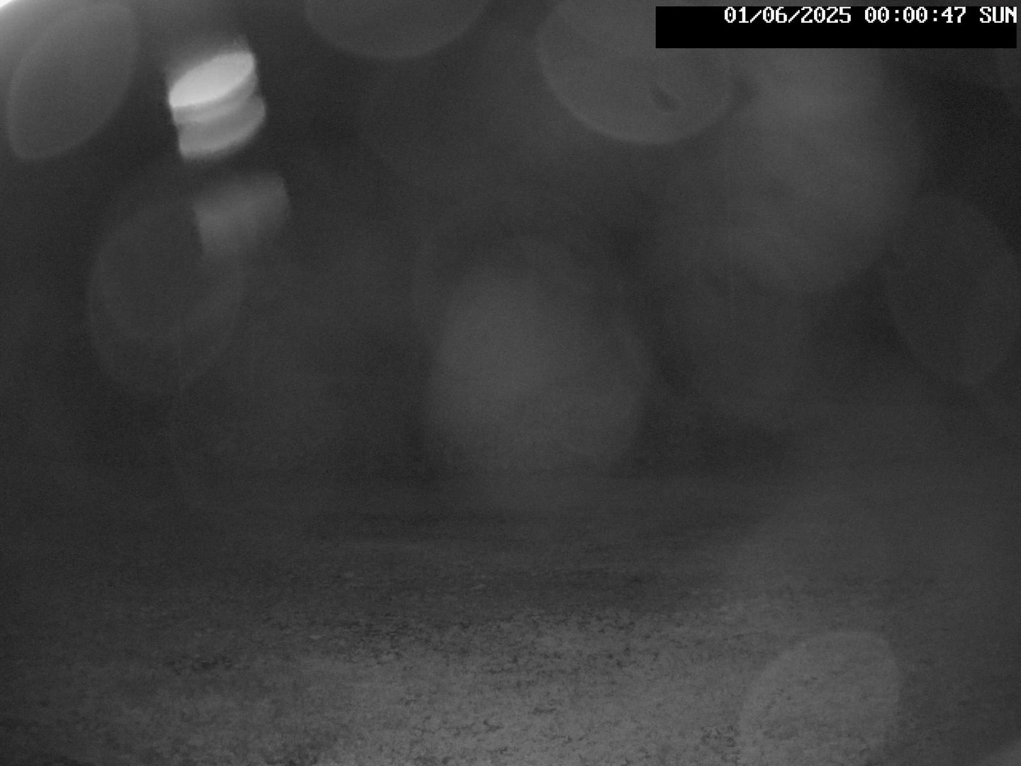 time-lapse frame, Stadium.Cam webcam