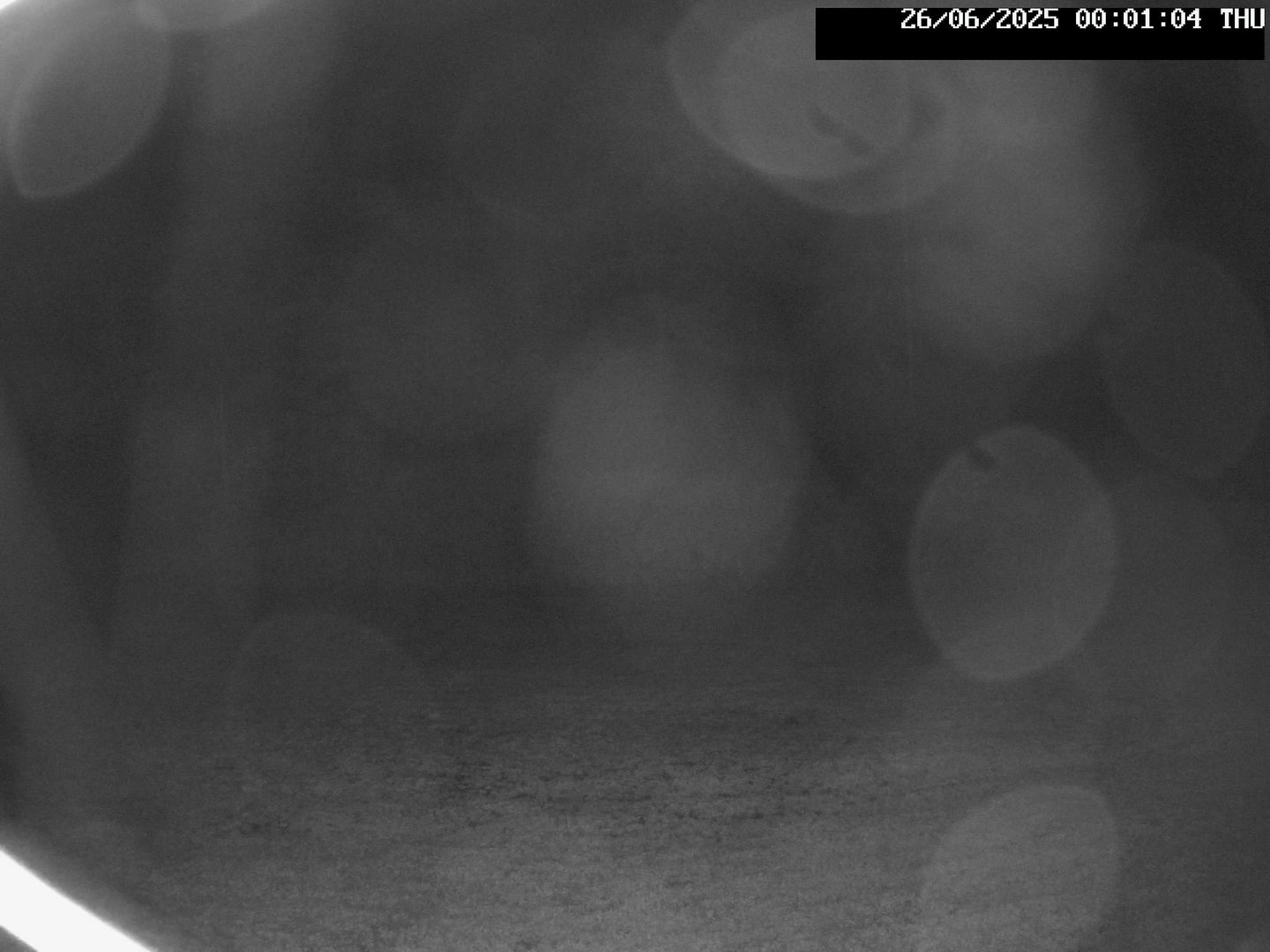 time-lapse frame, Stadium.Cam webcam