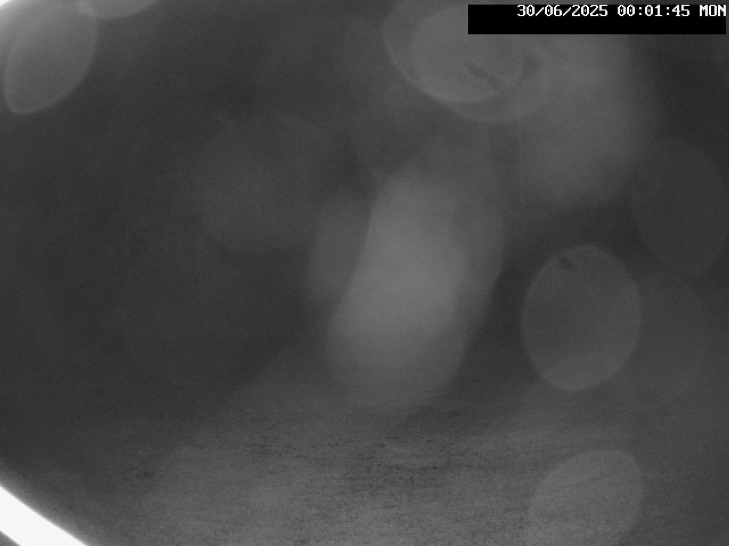 time-lapse frame, Stadium.Cam webcam