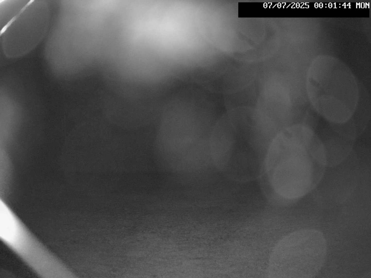 time-lapse frame, Stadium.Cam webcam