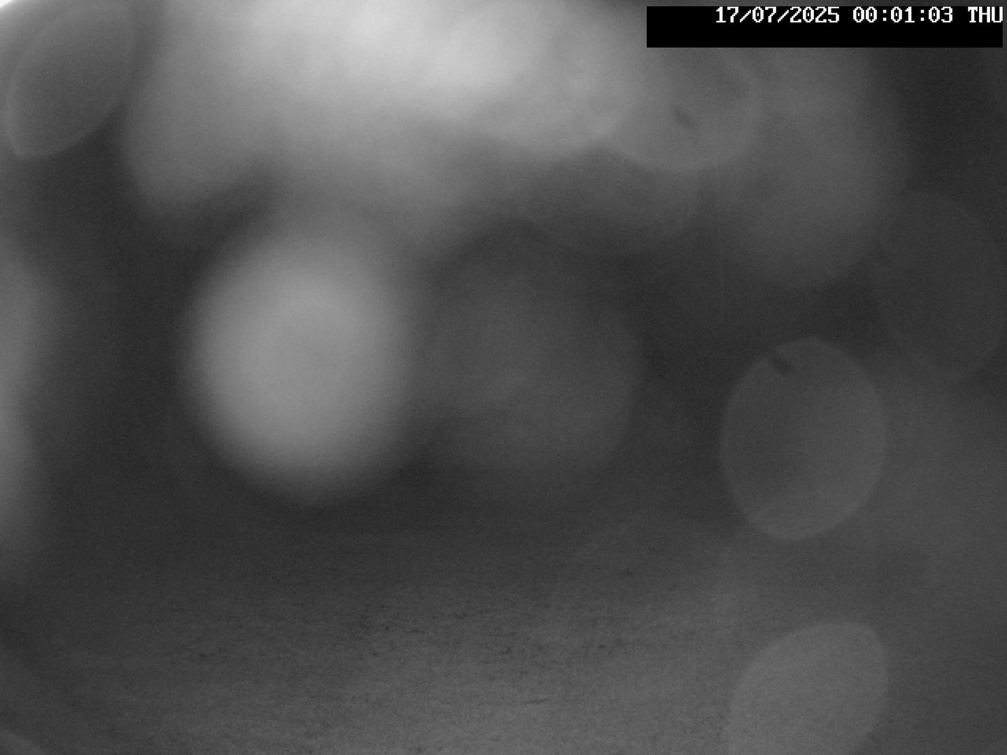 time-lapse frame, Stadium.Cam webcam
