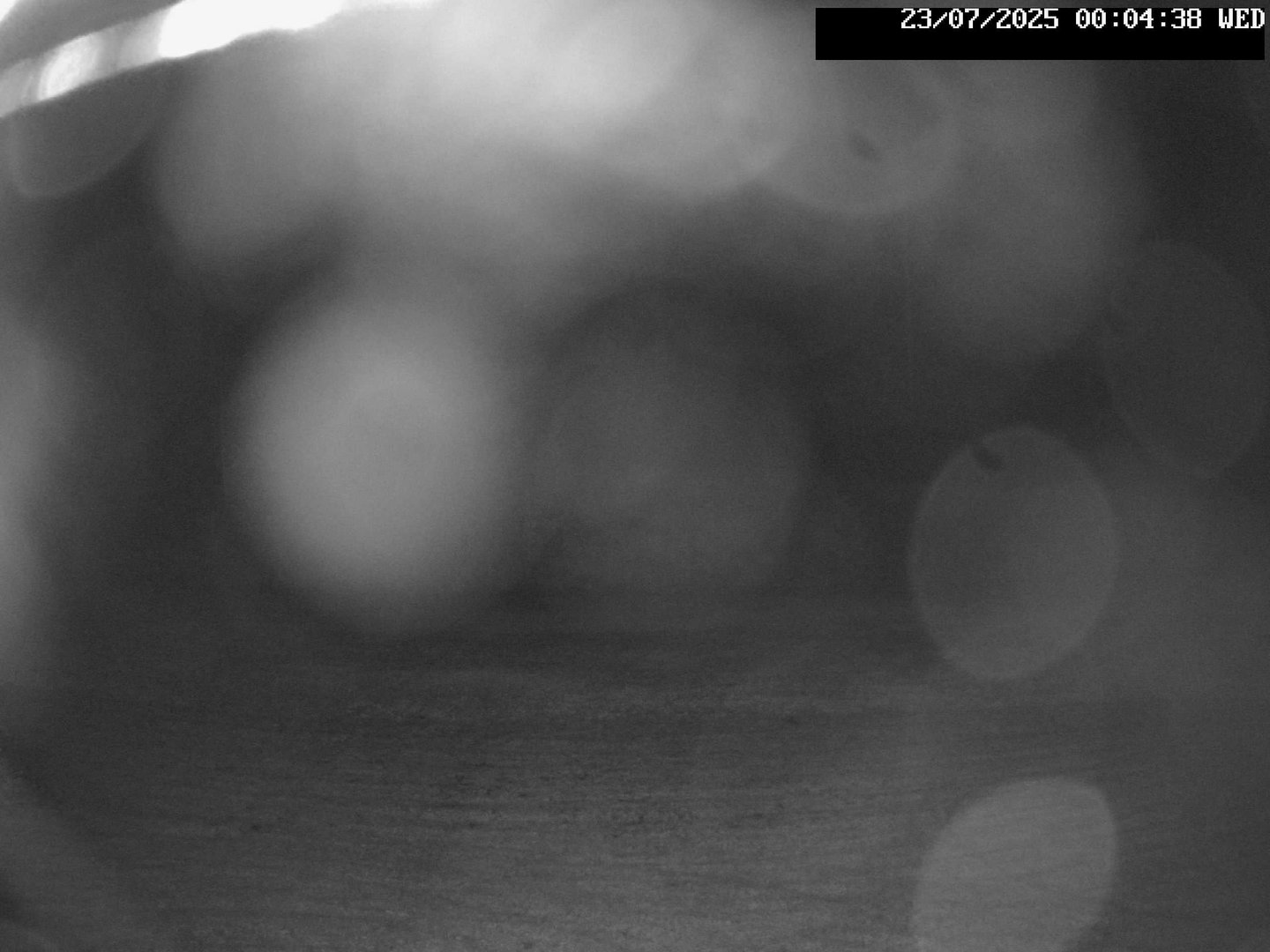 time-lapse frame, Stadium.Cam webcam