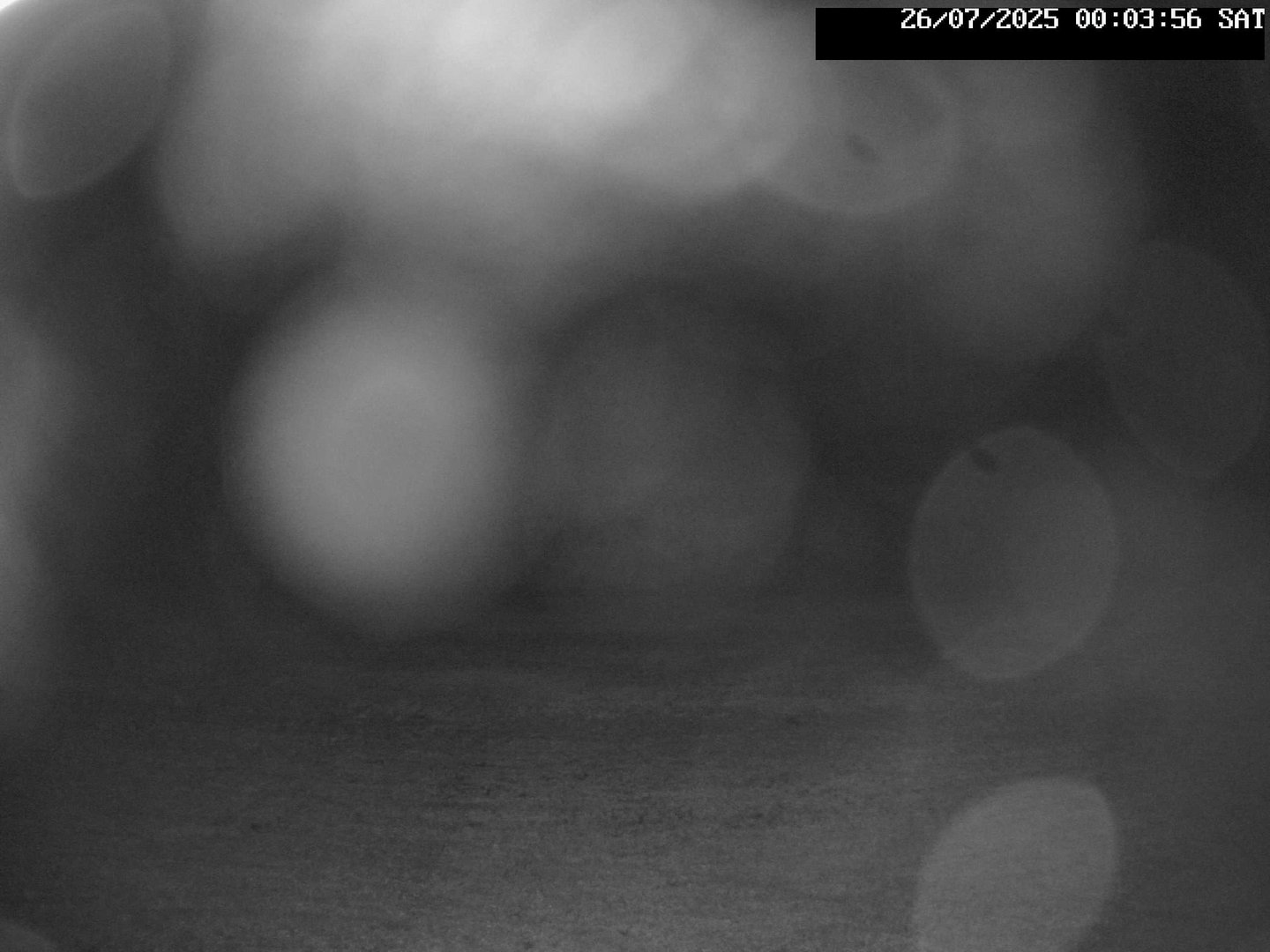 time-lapse frame, Stadium.Cam webcam
