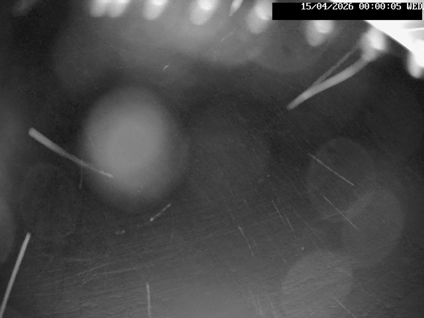 time-lapse frame, Stadium.Cam webcam