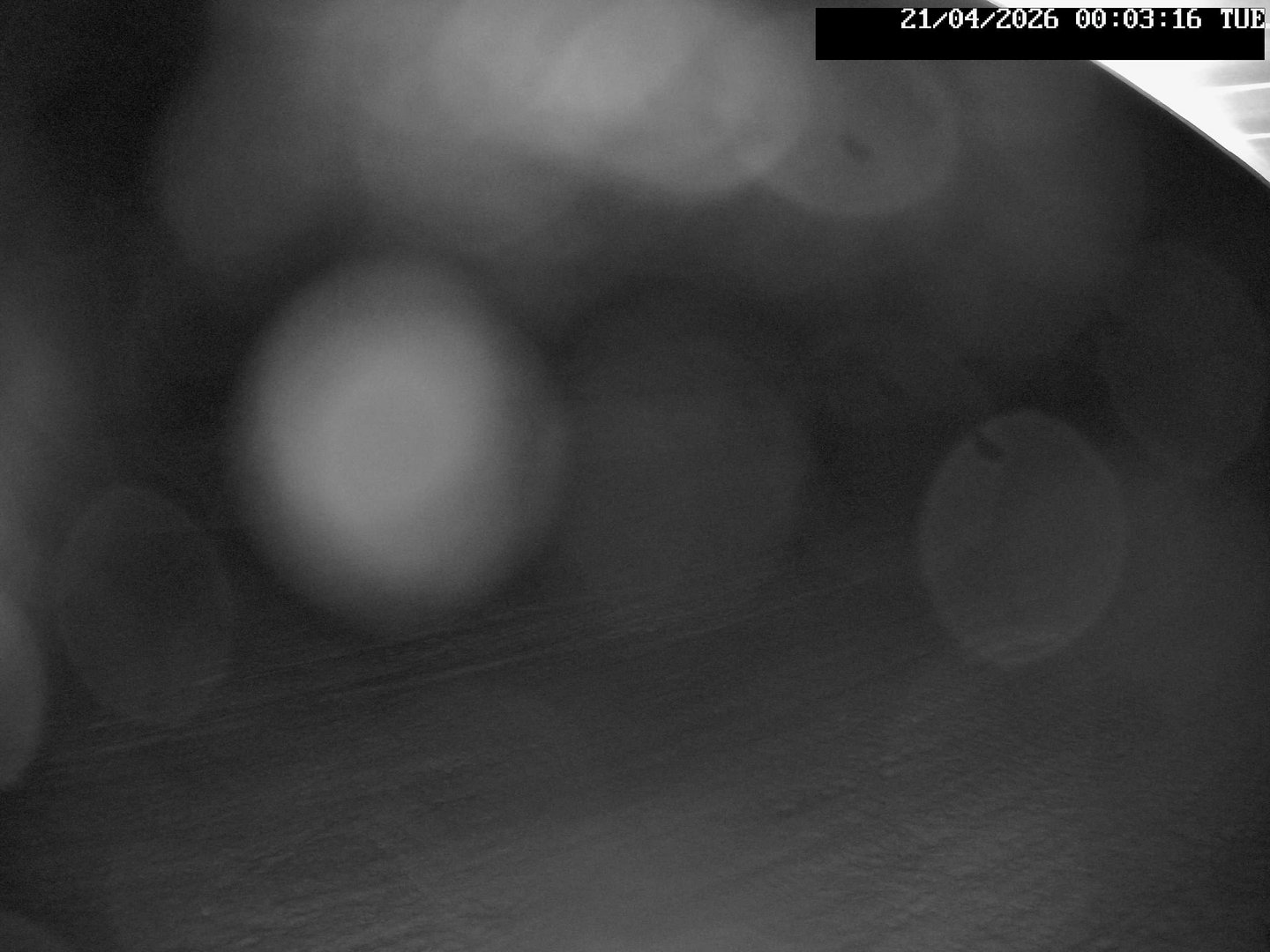 time-lapse frame, Stadium.Cam webcam