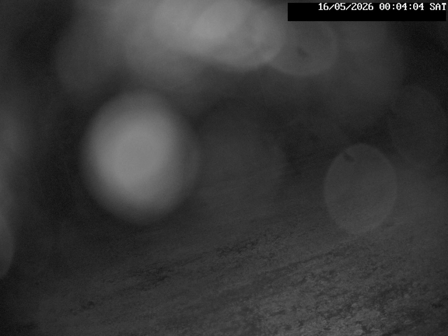 time-lapse frame, Stadium.Cam webcam