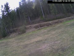 view from Stadium.Cam on 2026-05-17