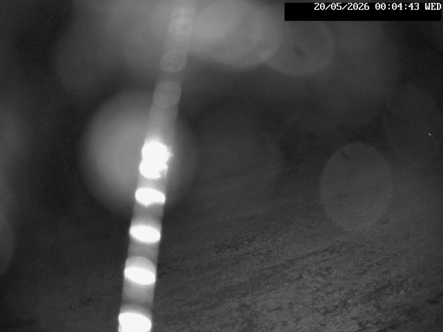 time-lapse frame, Stadium.Cam webcam