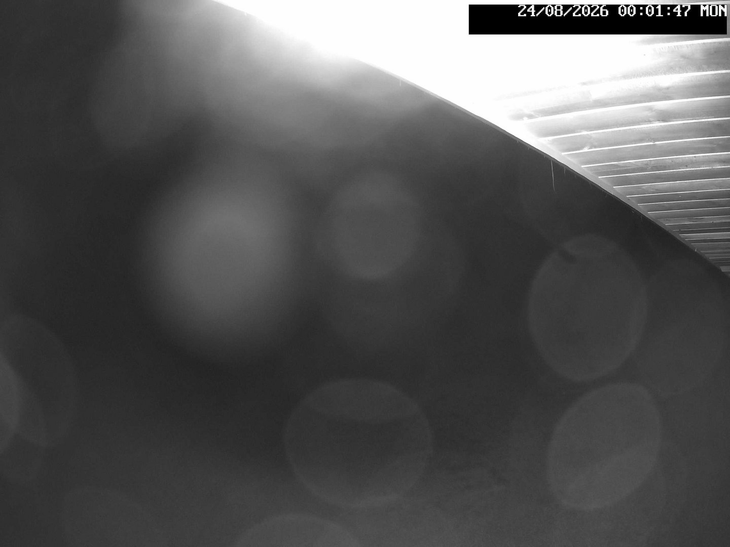 time-lapse frame, Stadium.Cam webcam