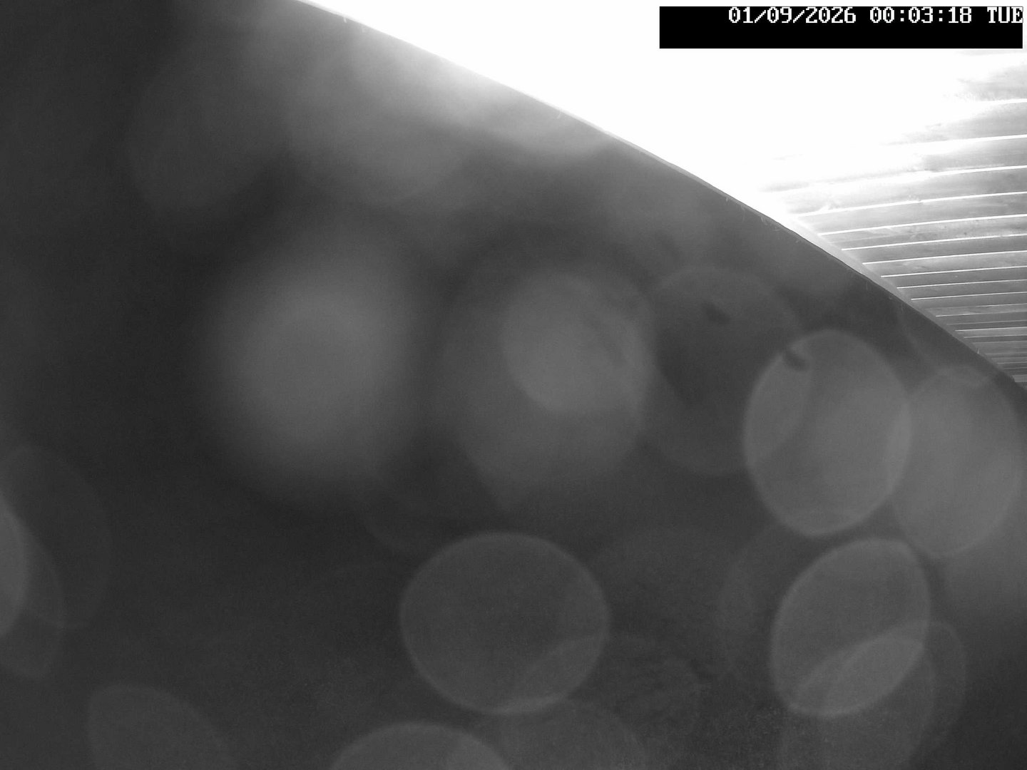 time-lapse frame, Stadium.Cam webcam