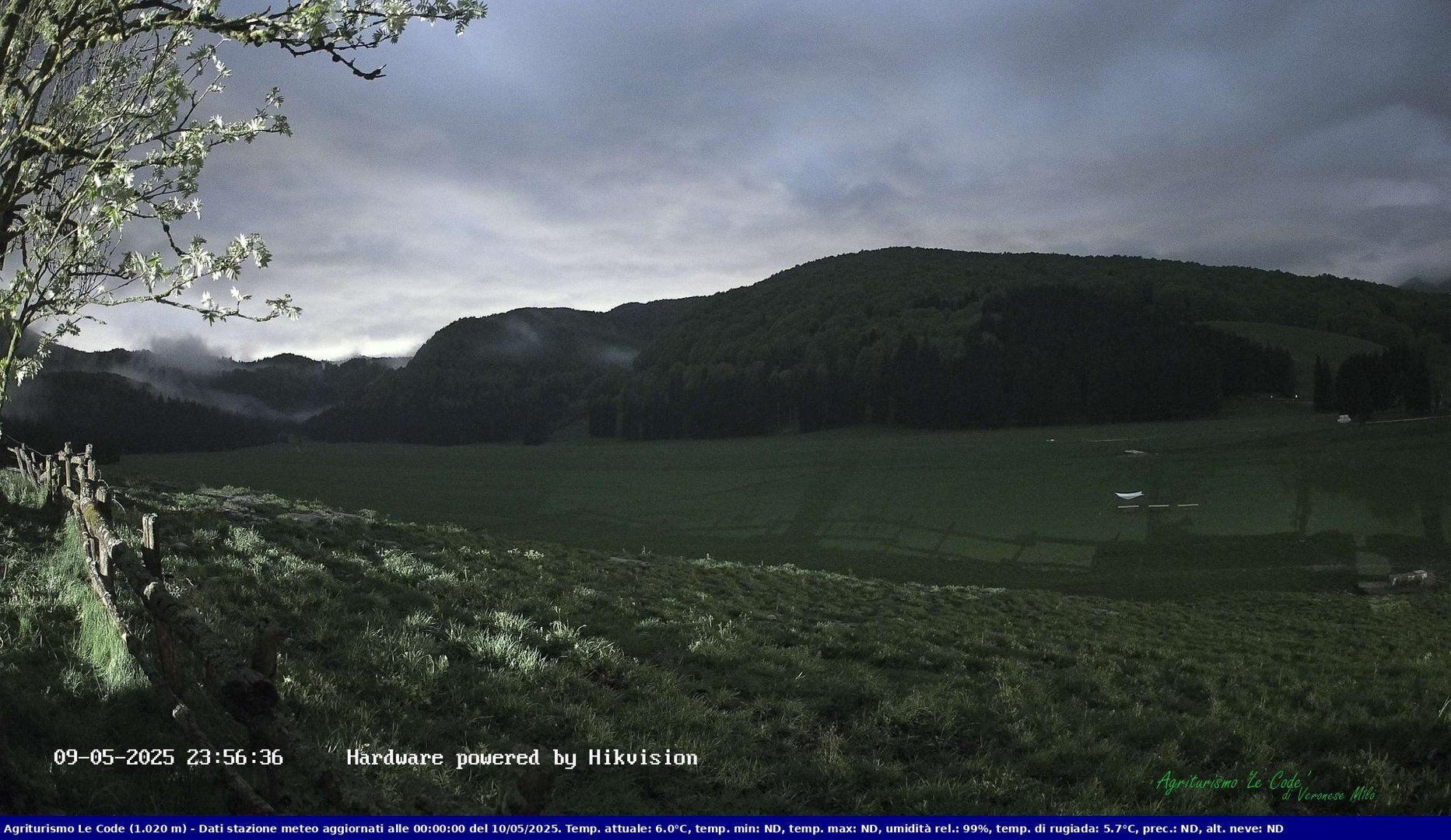 time-lapse frame, Webcam Cansiglio - verso la piana dei "Bech" webcam