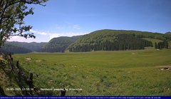 view from Webcam Cansiglio - verso la piana dei "Bech" on 2025-05-26