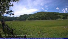 view from Webcam Cansiglio - verso la piana dei "Bech" on 2025-05-29