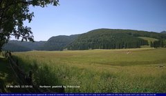 view from Webcam Cansiglio - verso la piana dei "Bech" on 2025-06-19