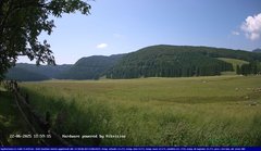 view from Webcam Cansiglio - verso la piana dei "Bech" on 2025-06-22