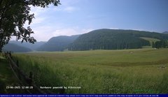 view from Webcam Cansiglio - verso la piana dei "Bech" on 2025-06-23