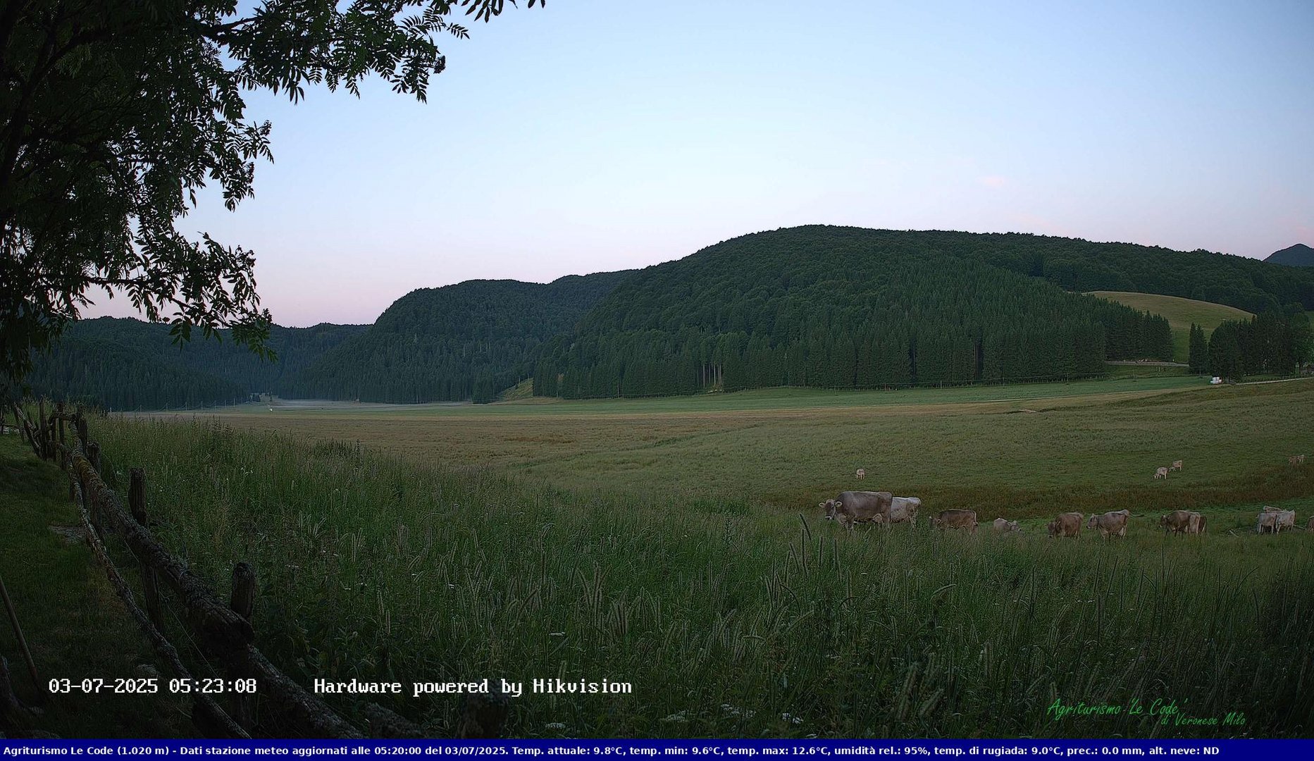 time-lapse frame, Webcam Cansiglio - verso la piana dei "Bech" webcam