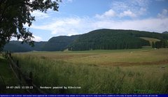 view from Webcam Cansiglio - verso la piana dei "Bech" on 2025-07-14