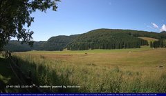 view from Webcam Cansiglio - verso la piana dei "Bech" on 2025-07-17