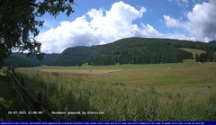 view from Webcam Cansiglio - verso la piana dei "Bech" on 2025-07-18