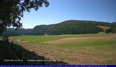 view from Webcam Cansiglio - verso la piana dei "Bech" on 2025-08-10