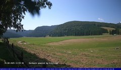 view from Webcam Cansiglio - verso la piana dei "Bech" on 2025-08-11