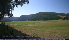 view from Webcam Cansiglio - verso la piana dei "Bech" on 2025-08-12