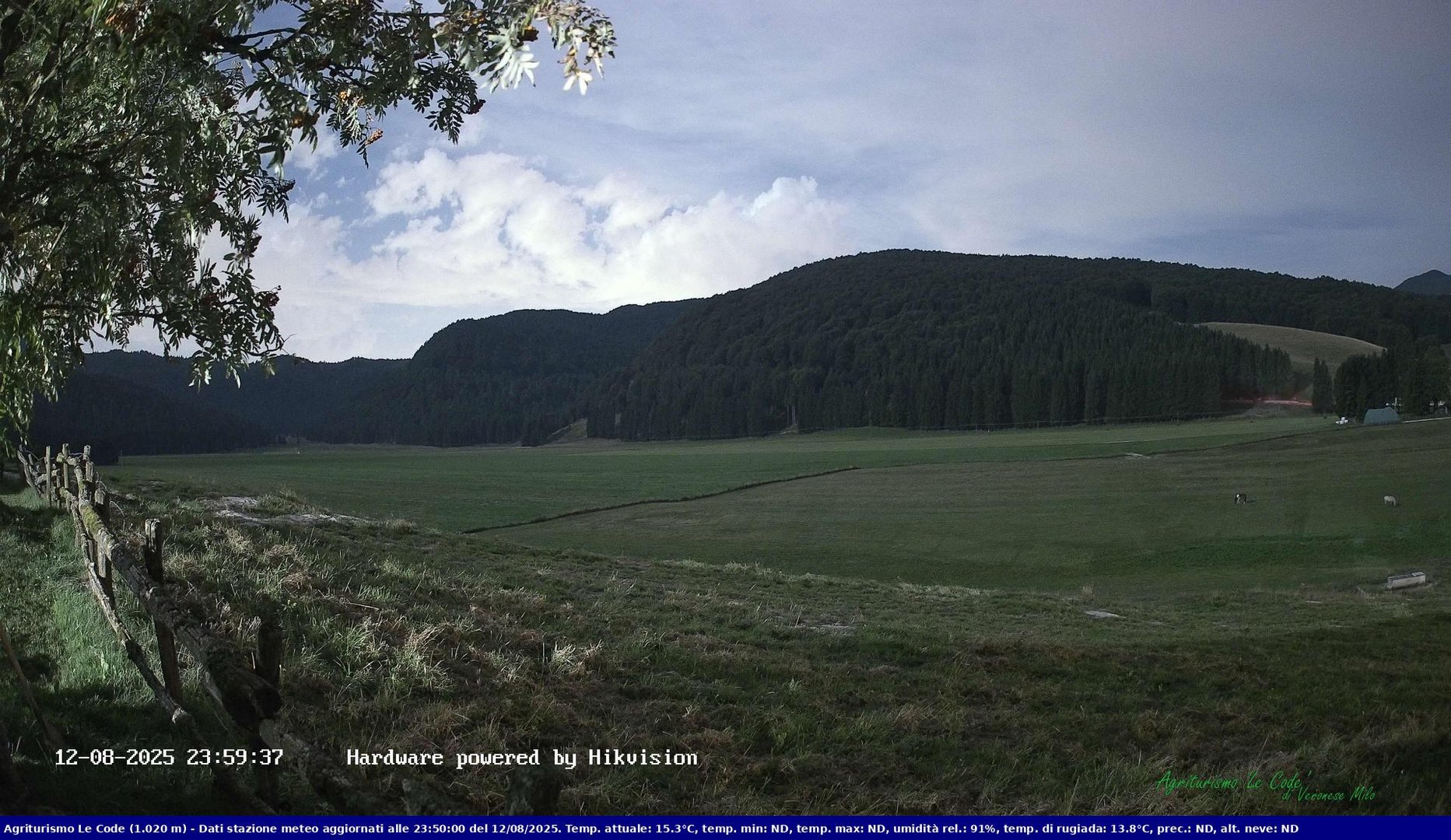 time-lapse frame, Webcam Cansiglio - verso la piana dei "Bech" webcam
