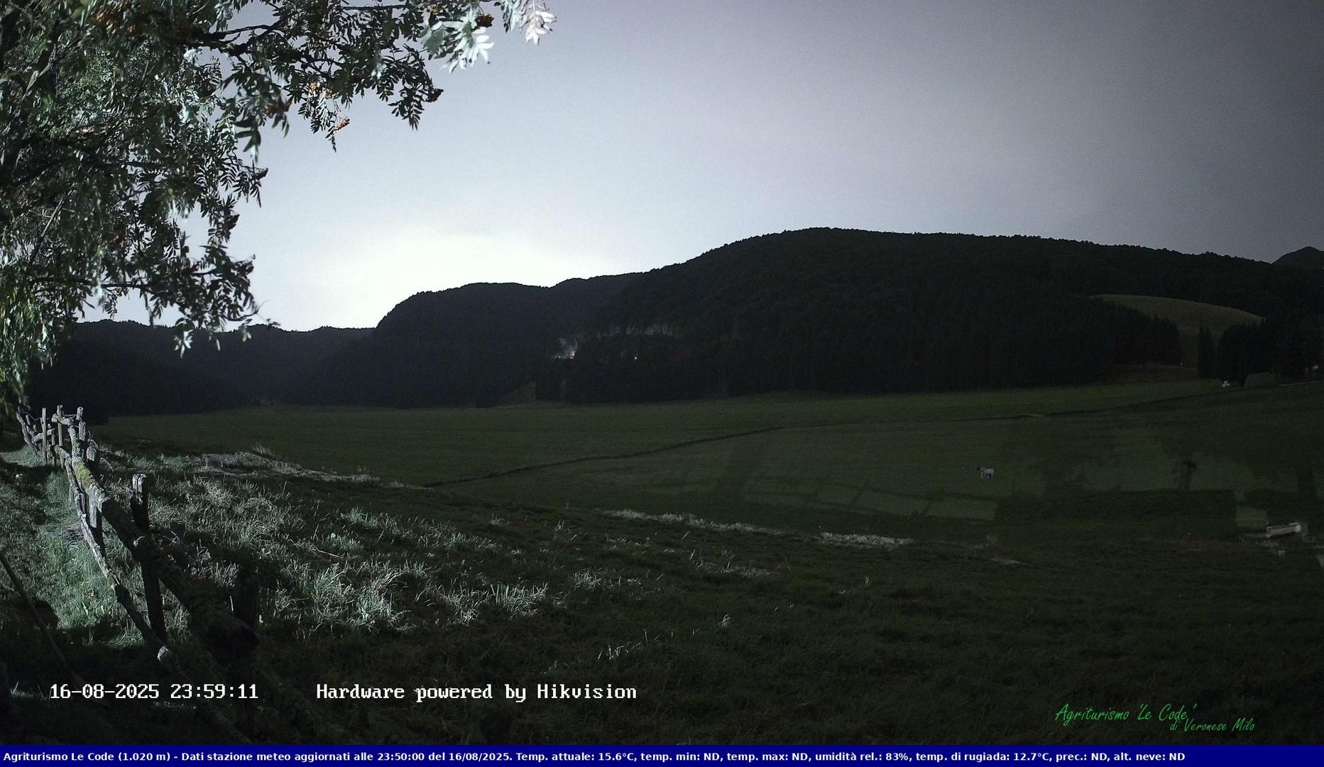 time-lapse frame, Webcam Cansiglio - verso la piana dei "Bech" webcam