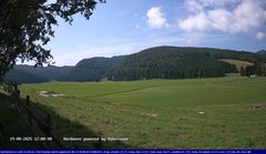 view from Webcam Cansiglio - verso la piana dei "Bech" on 2025-08-19