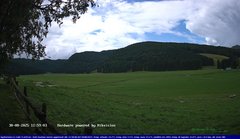 view from Webcam Cansiglio - verso la piana dei "Bech" on 2025-08-30