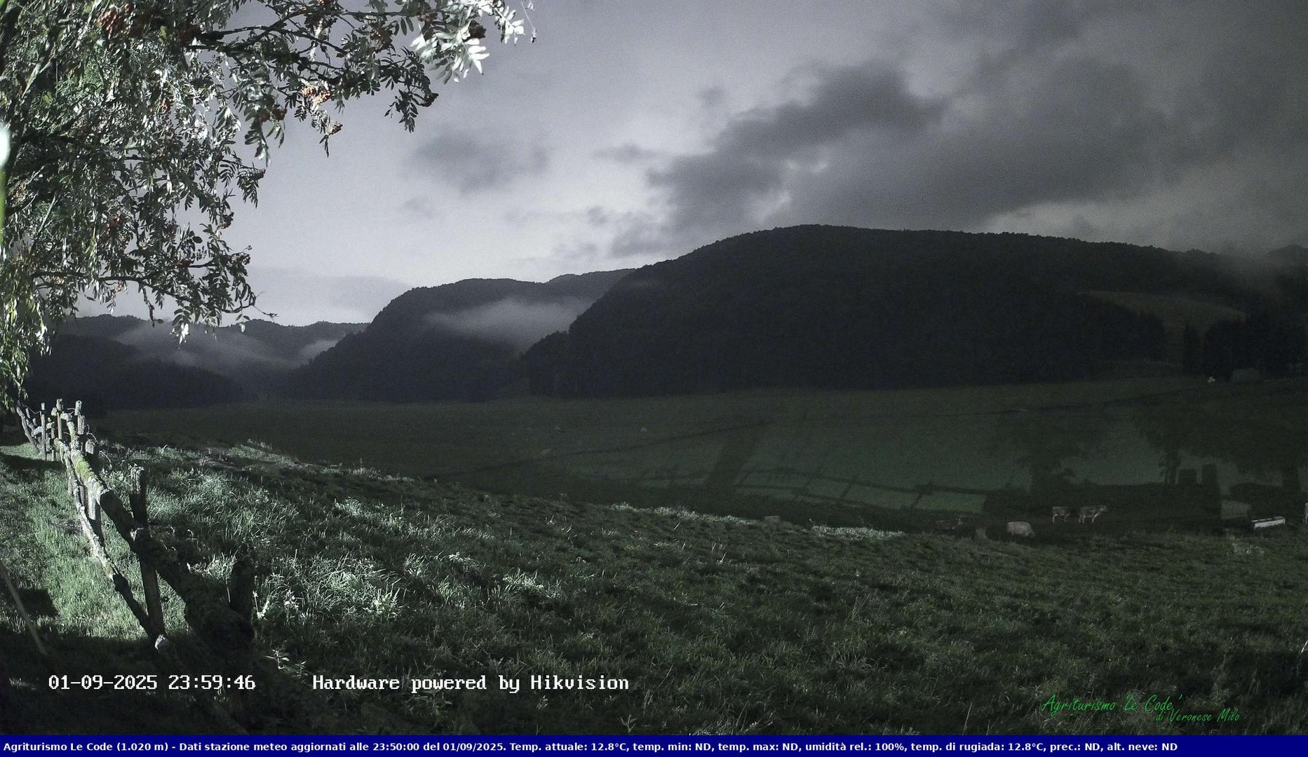 time-lapse frame, Webcam Cansiglio - verso la piana dei "Bech" webcam