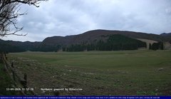 view from Webcam Cansiglio - verso la piana dei "Bech" on 2026-04-13