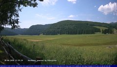 view from Webcam Cansiglio - verso la piana dei "Bech" on 2026-06-30