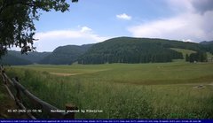 view from Webcam Cansiglio - verso la piana dei "Bech" on 2026-07-01