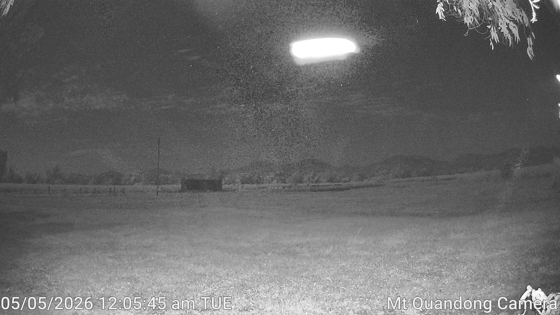 time-lapse frame, Mt Quandong Camera webcam