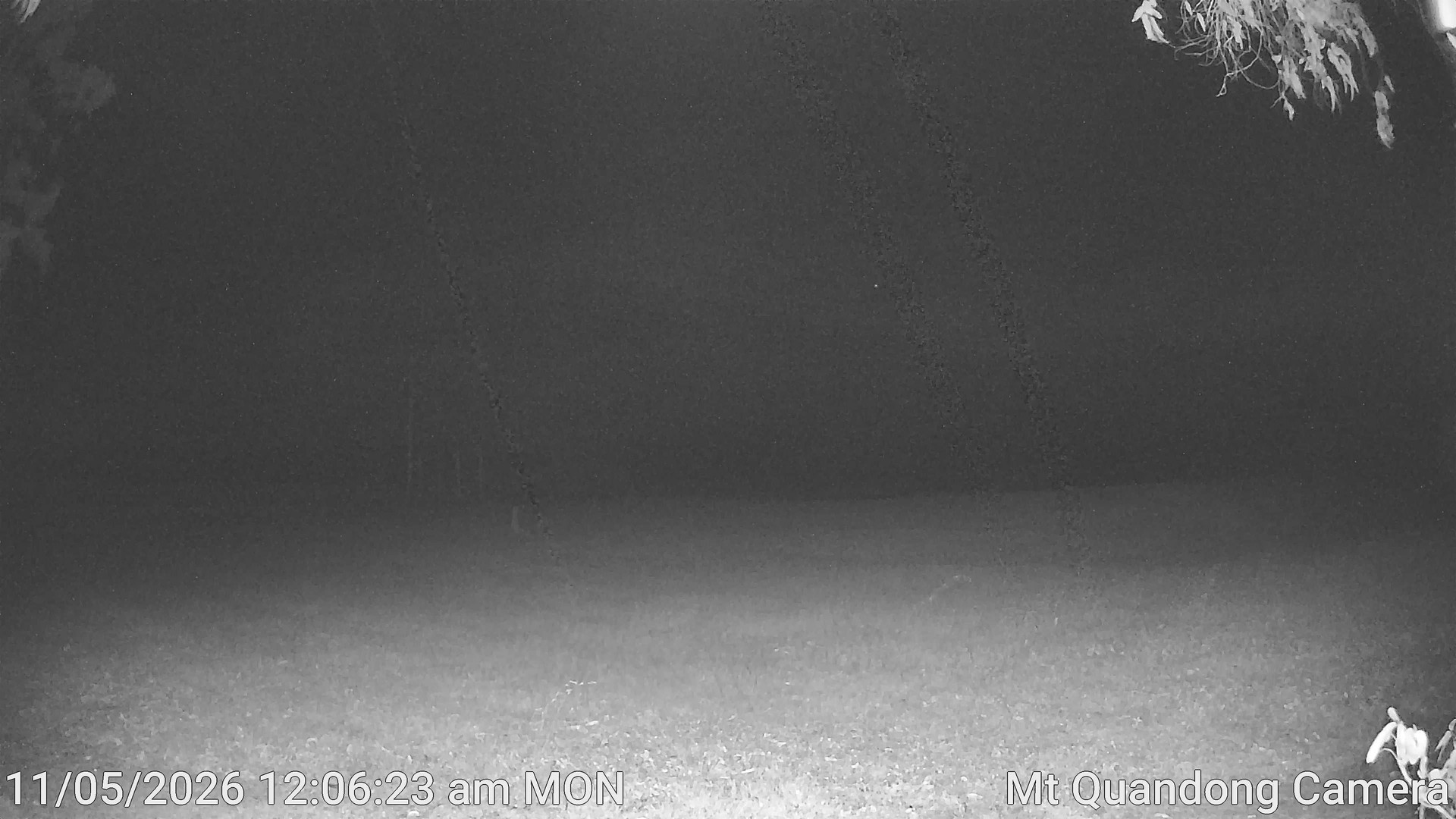 time-lapse frame, Mt Quandong Camera webcam