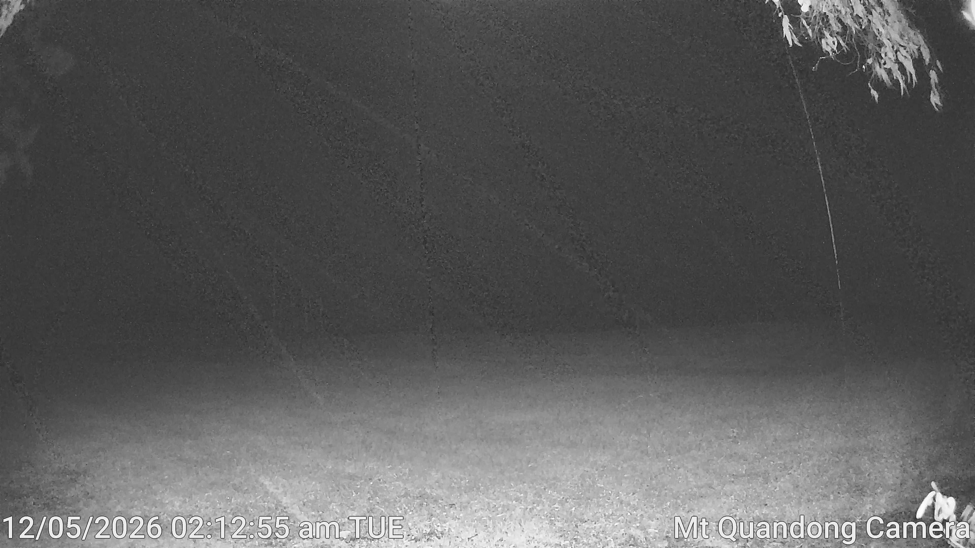 time-lapse frame, Mt Quandong Camera webcam