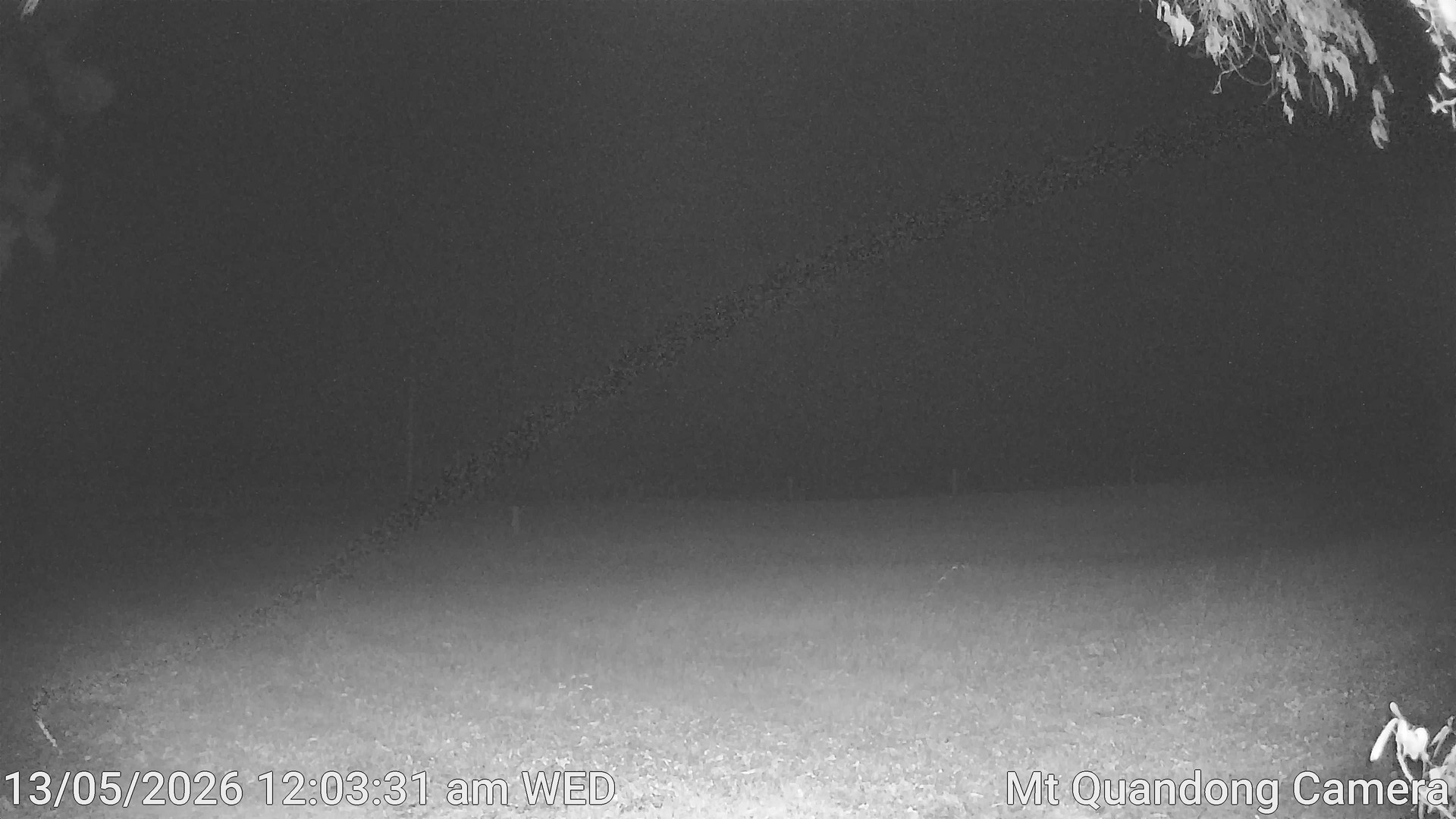 time-lapse frame, Mt Quandong Camera webcam