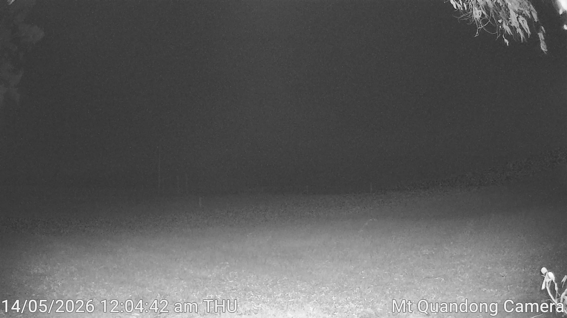 time-lapse frame, Mt Quandong Camera webcam