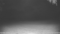 view from Mt Quandong Camera on 2026-06-12