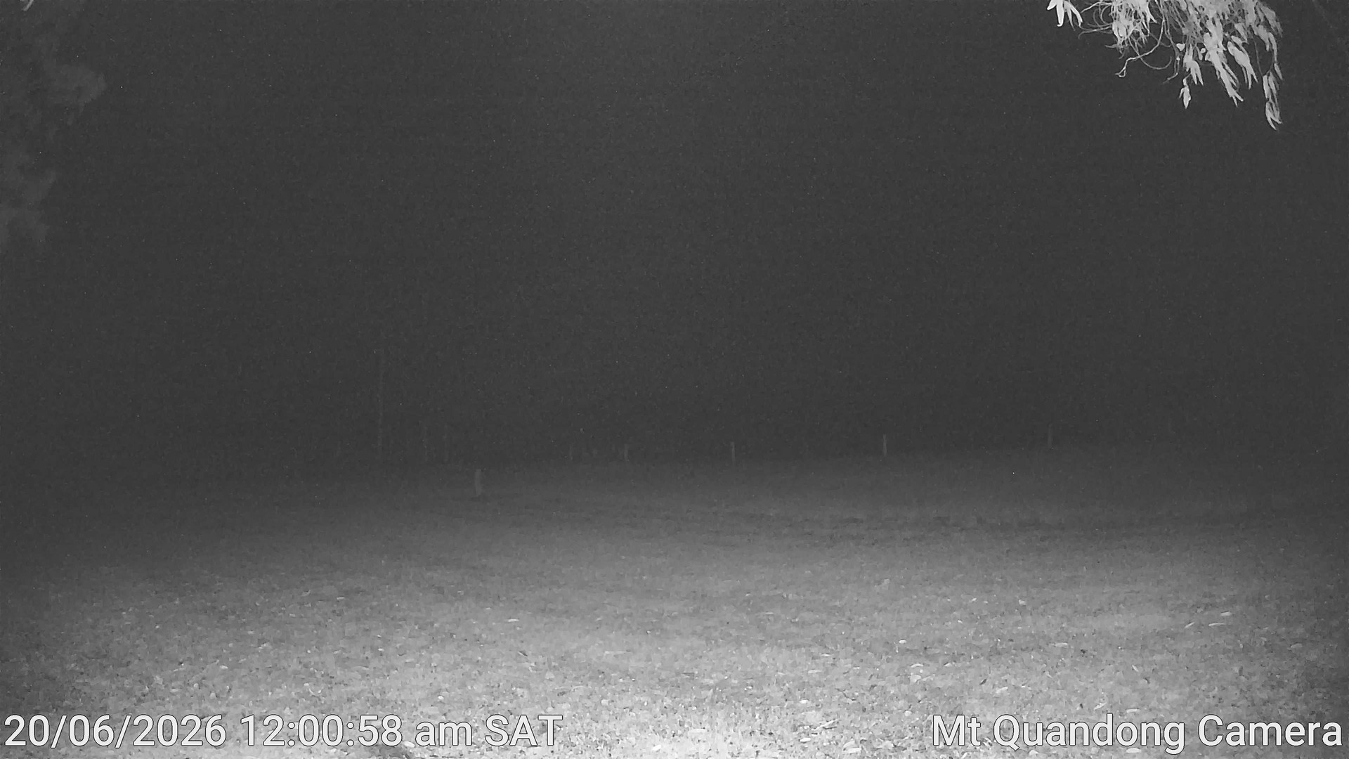 time-lapse frame, Mt Quandong Camera webcam
