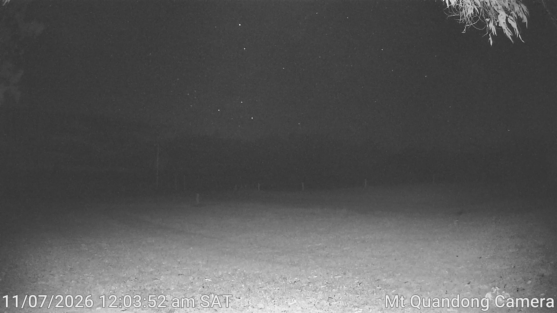 time-lapse frame, Mt Quandong Camera webcam