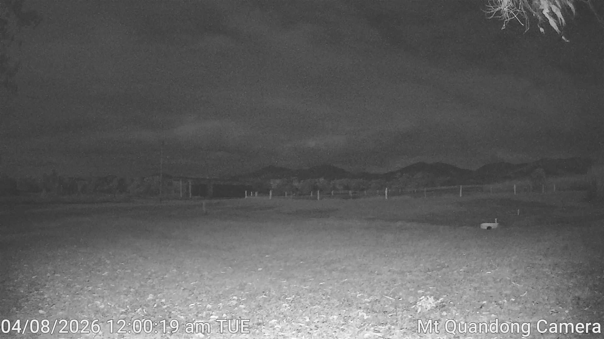 time-lapse frame, Mt Quandong Camera webcam