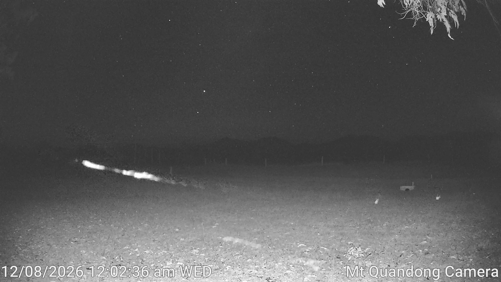 time-lapse frame, Mt Quandong Camera webcam