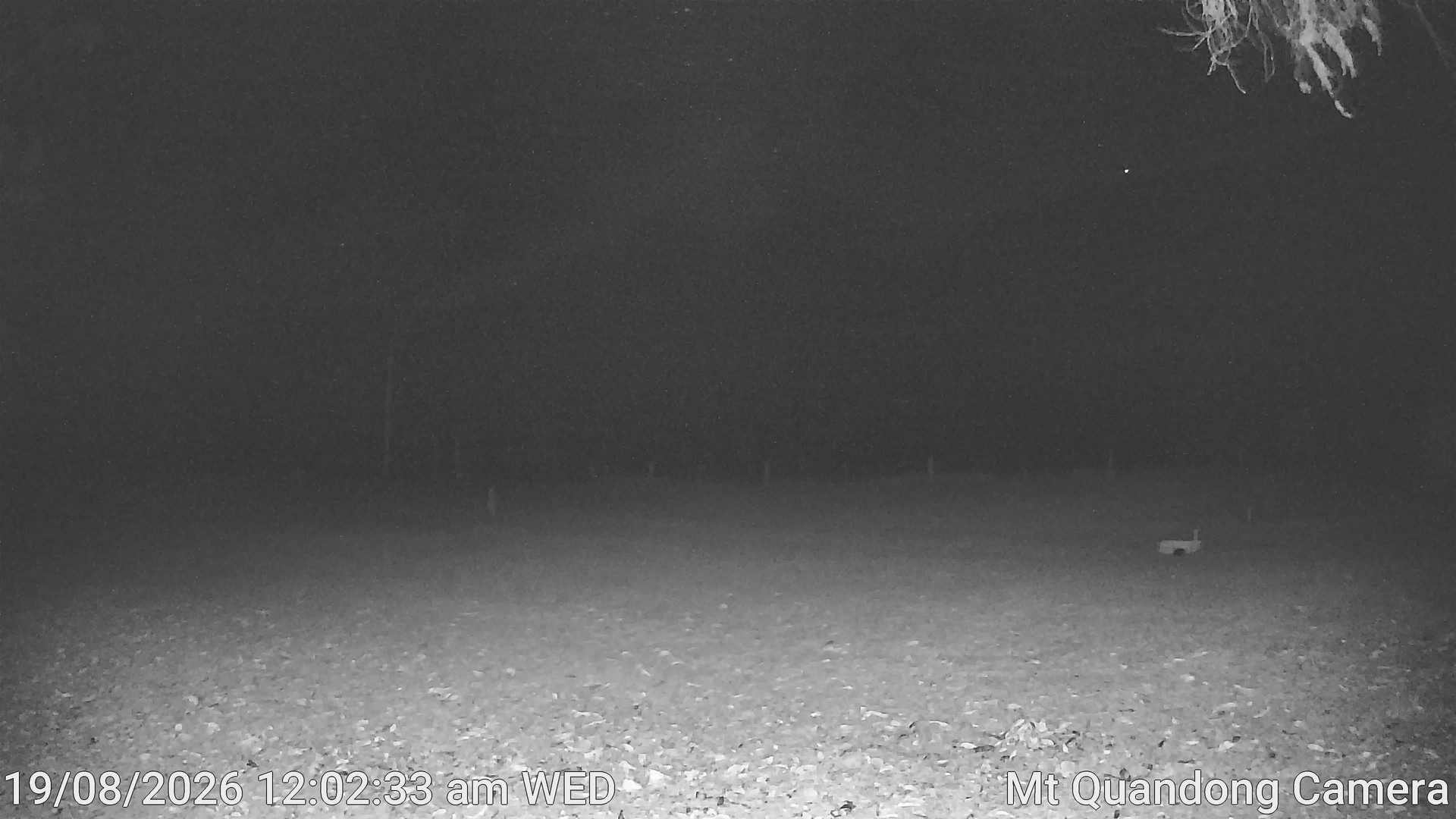 time-lapse frame, Mt Quandong Camera webcam