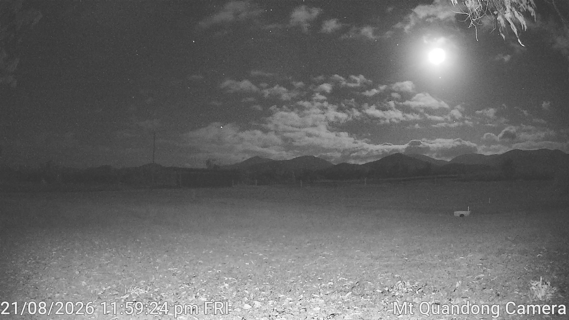 time-lapse frame, Mt Quandong Camera webcam