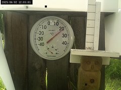 view from Weather Cam on 2025-06-02
