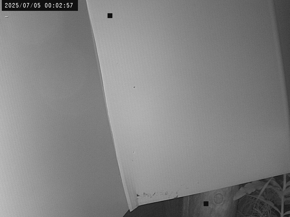time-lapse frame, Weather Cam webcam